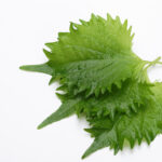 ブエノスアイレスで日本食材を買うならココ！在留邦人行きつけの店