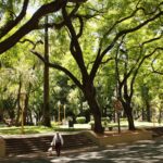 ブエノスアイレス市の規制緩和！ついに自由な日常生活が訪れる！